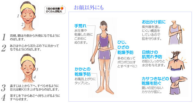 ご使用例